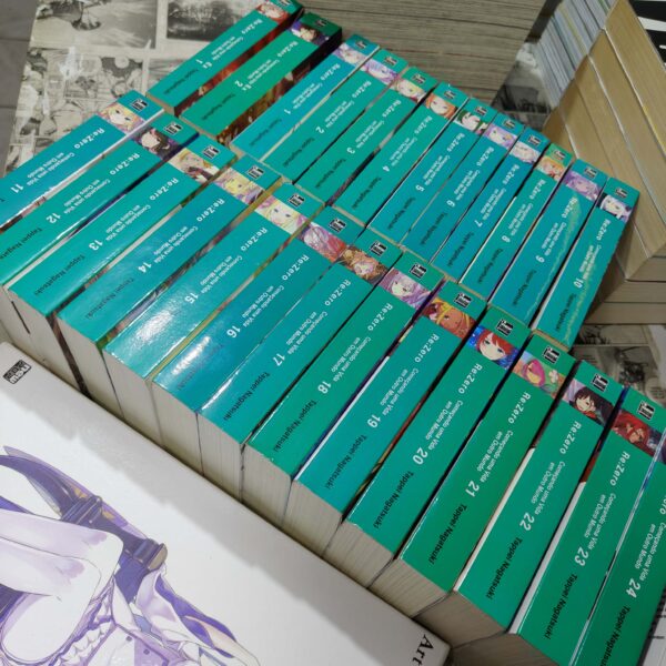 RE Zero - novel - Vol.1 ao 25 + RE Zero Ex Vol.1 e 2 + Artbook RE Box (Lote #291)