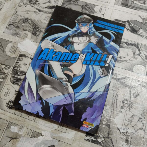 Akame ga Kill - Vol.4 (Lote Festival de Avulsos #64)