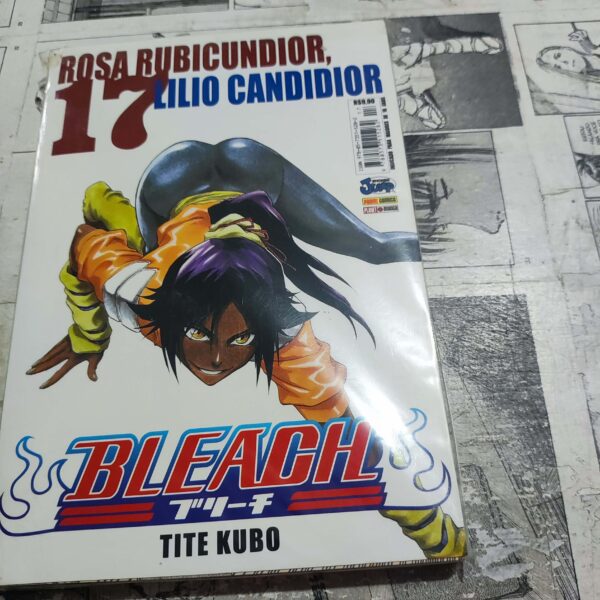 Bleach - Vol.17 (Lote Festival de Avulsos #66)