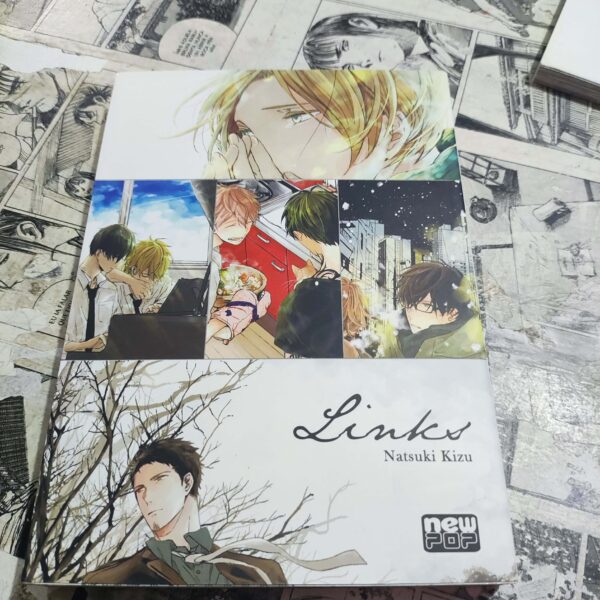 Links (Lote Festival de Avulsos #66)