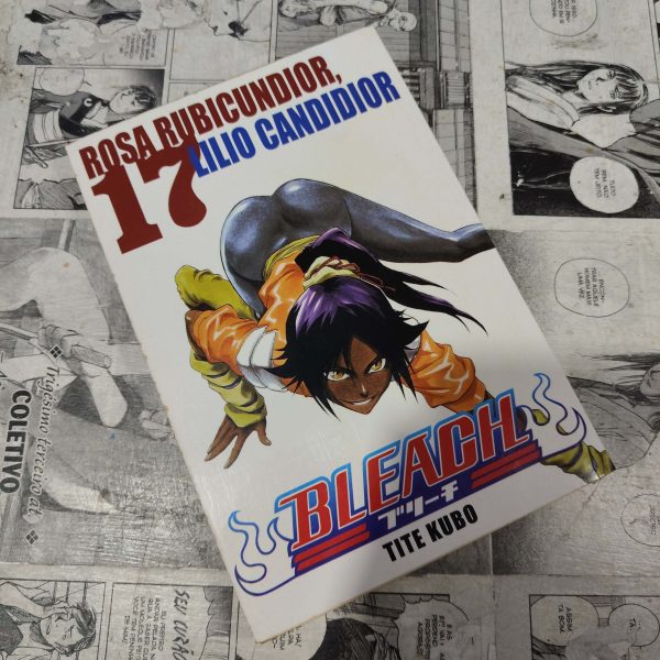 Bleach - Vol.17 (Lote Festival de Avulsos #70)