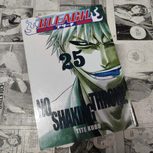 Bleach - Vol.25 (Lote Festival de Avulsos #70)