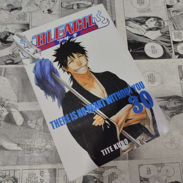 Bleach - Vol.30 (Lote Festival de Avulsos #70)