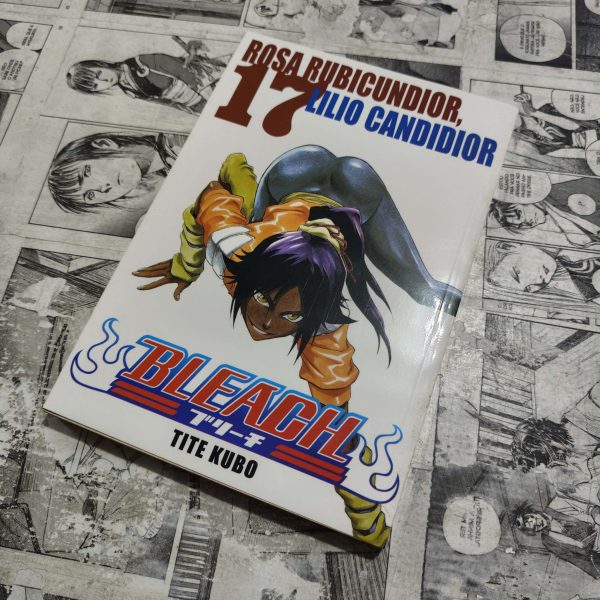 Bleach - Vol.17 (Lote Festival de Avulsos #73)