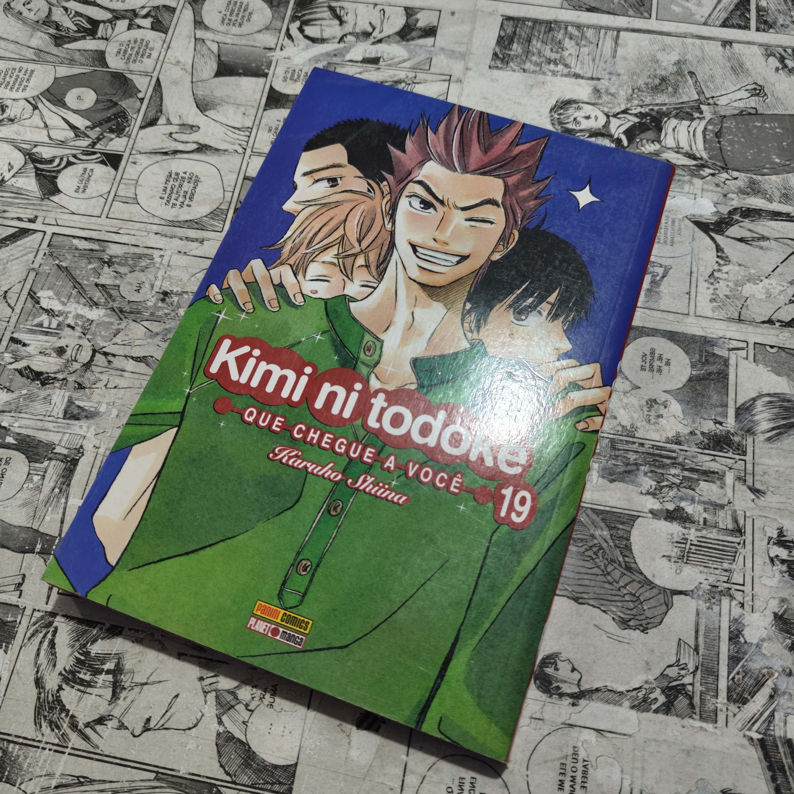 Kimi ni Todoke - Vol.19 (Lote Festival de Avulsos #77)