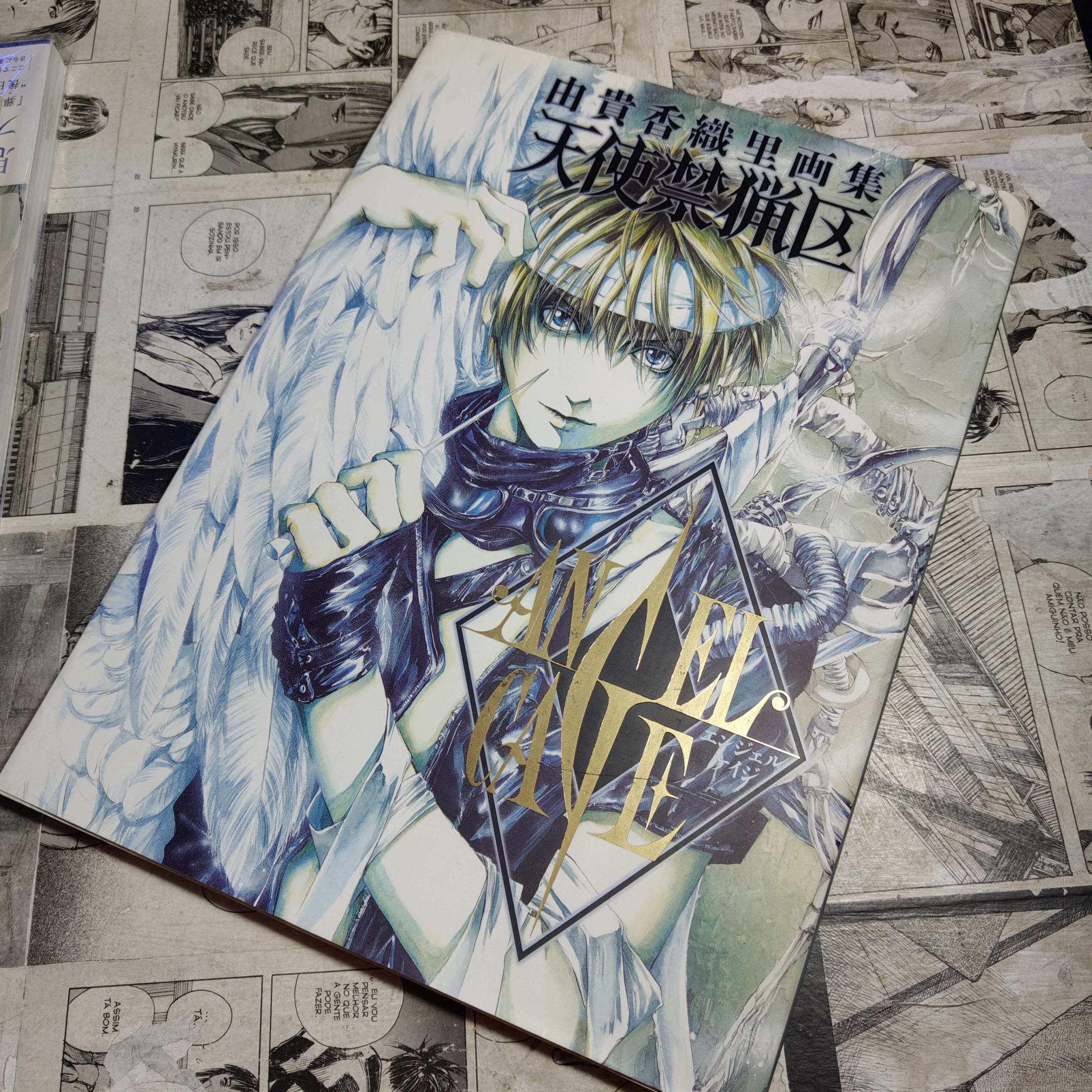 Angel Cave - Artbook - EM JPN (Festival de Importados #14)