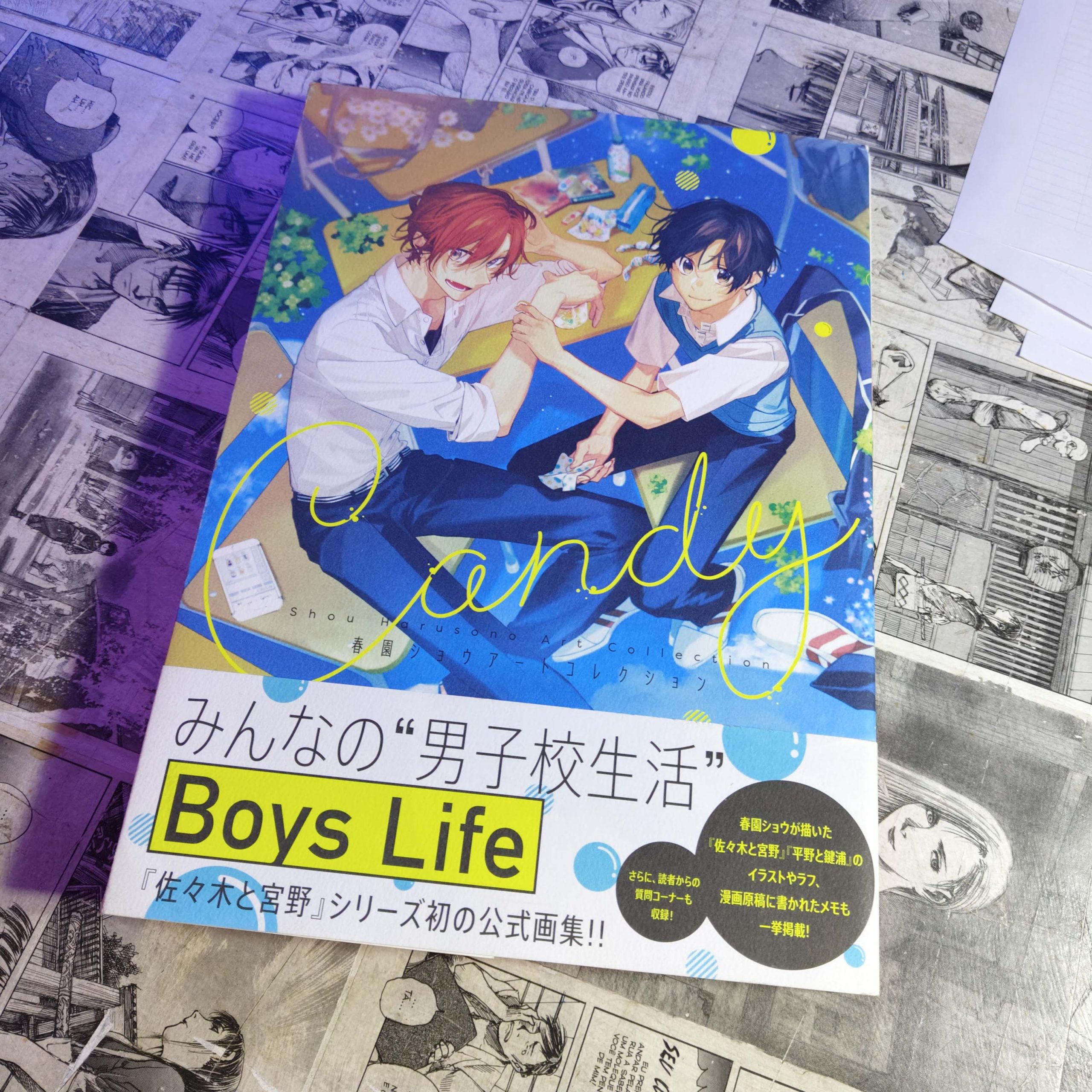 Sasaki e Miyano - Artbook Boys Life - EM JPN (Festival de Importados #14)