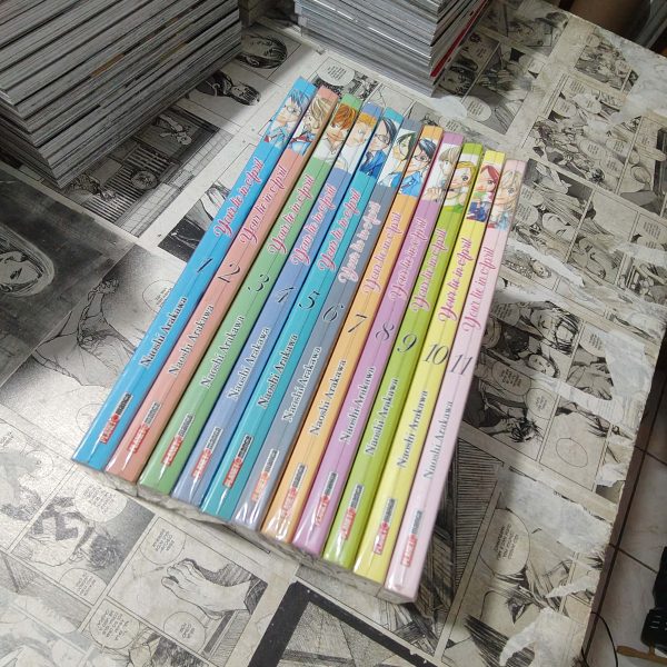 Your Lie in April - Completo (Lote #311)