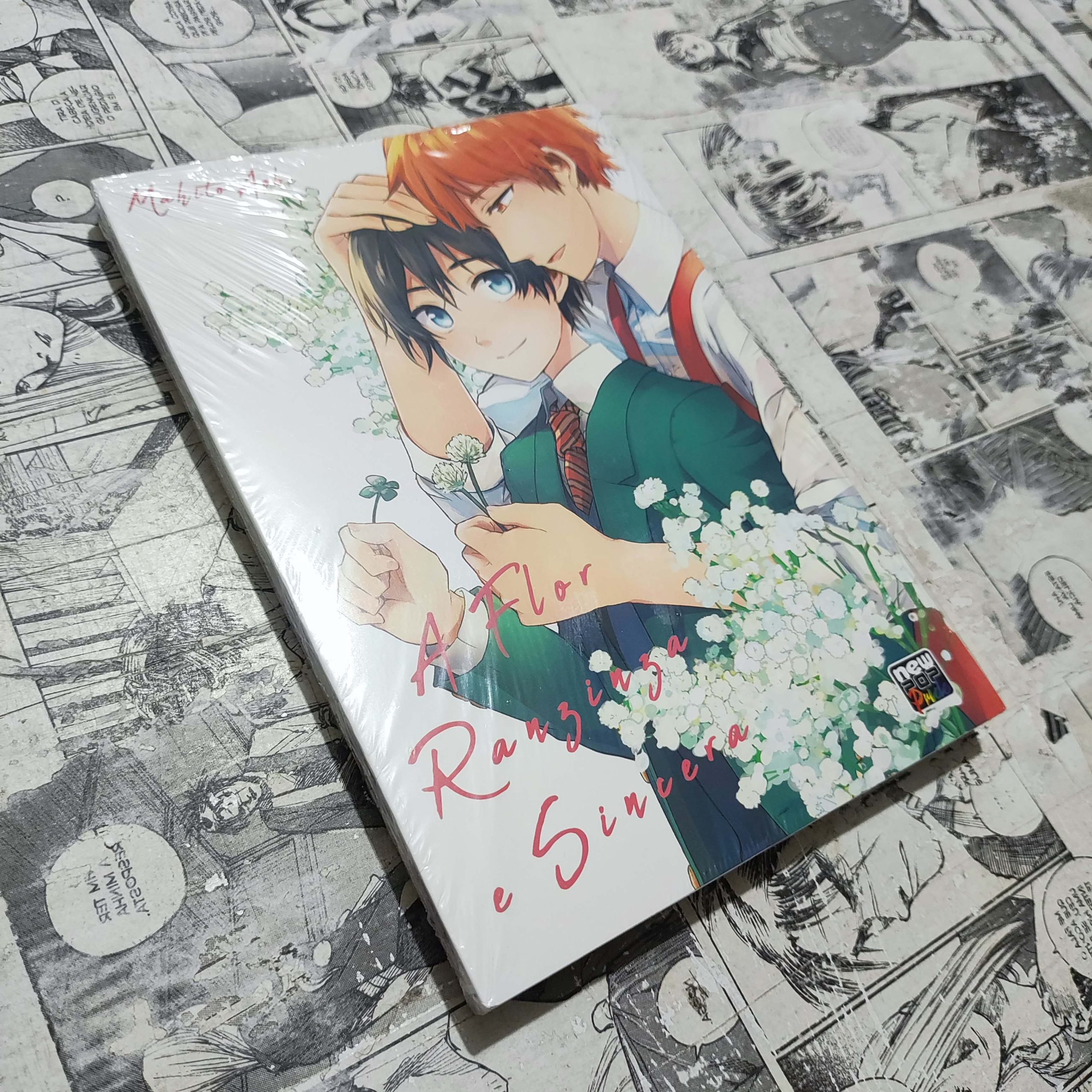 A Flor Ranzinza e Sincera (Lote Festival de Avulsos #81)