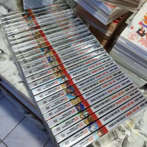 The Lost Canvas – ed especial – Completo (Lote #317)