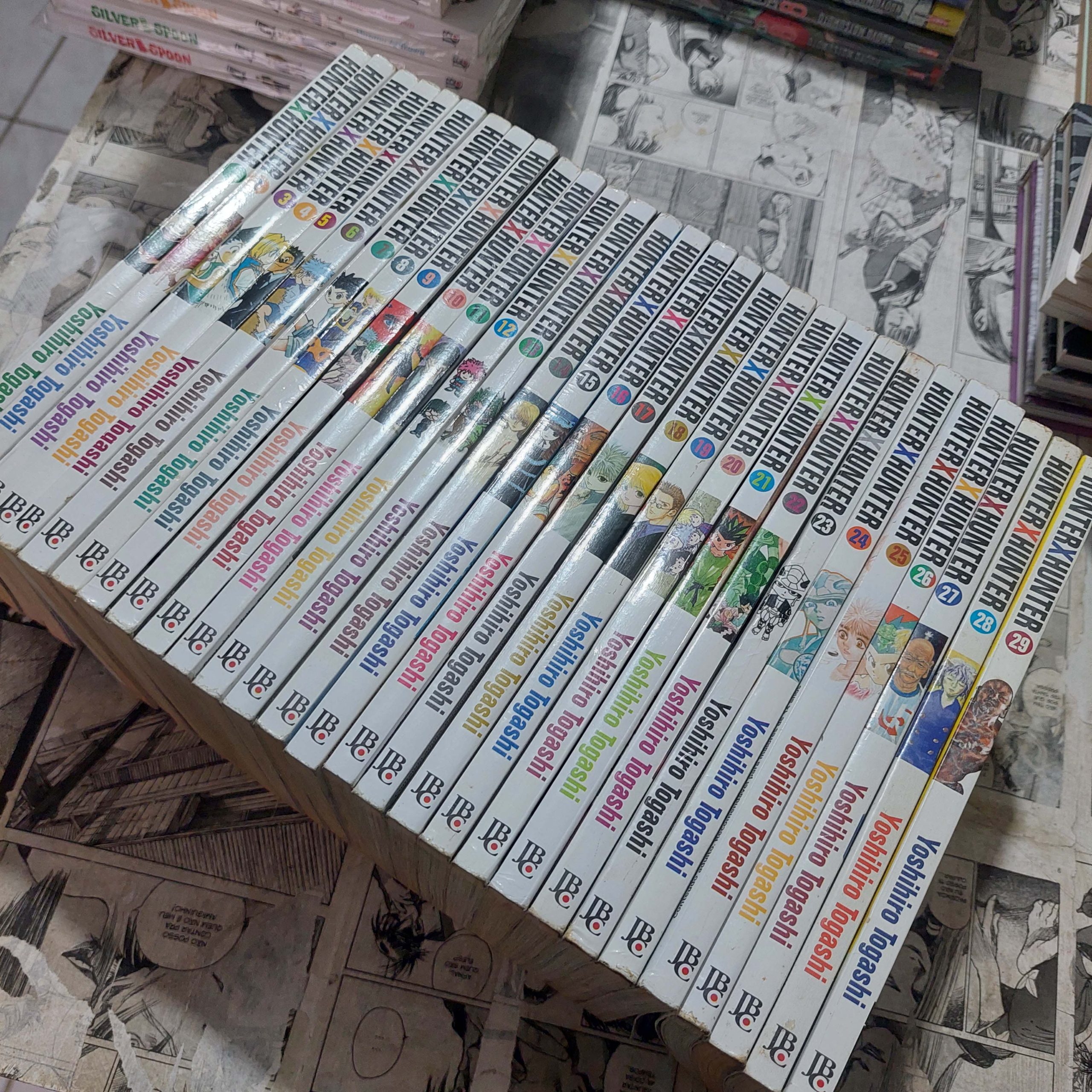 Hunter x Hunter - Vol.1 ao 29 (Lote #322)