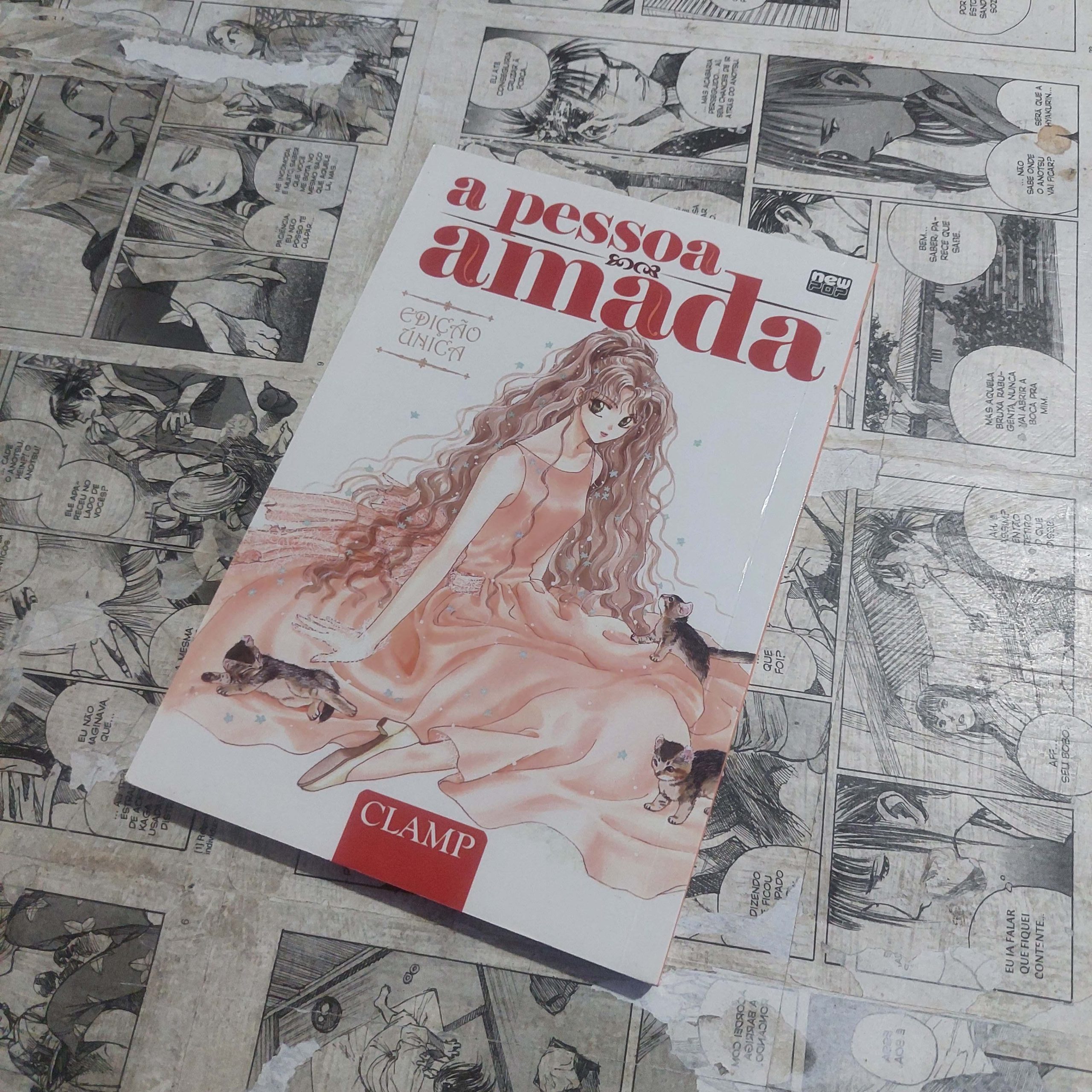 A Pessoa Amada (Lote Festival de Avulsos #91)