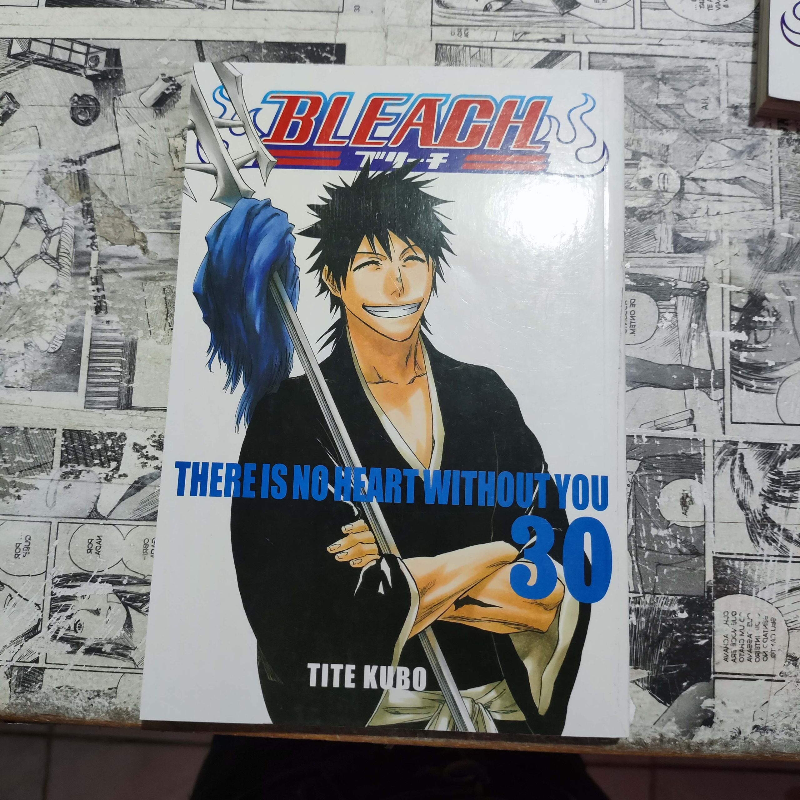 Bleach - Vol.30 (Lote Festival de Avulsos #88)