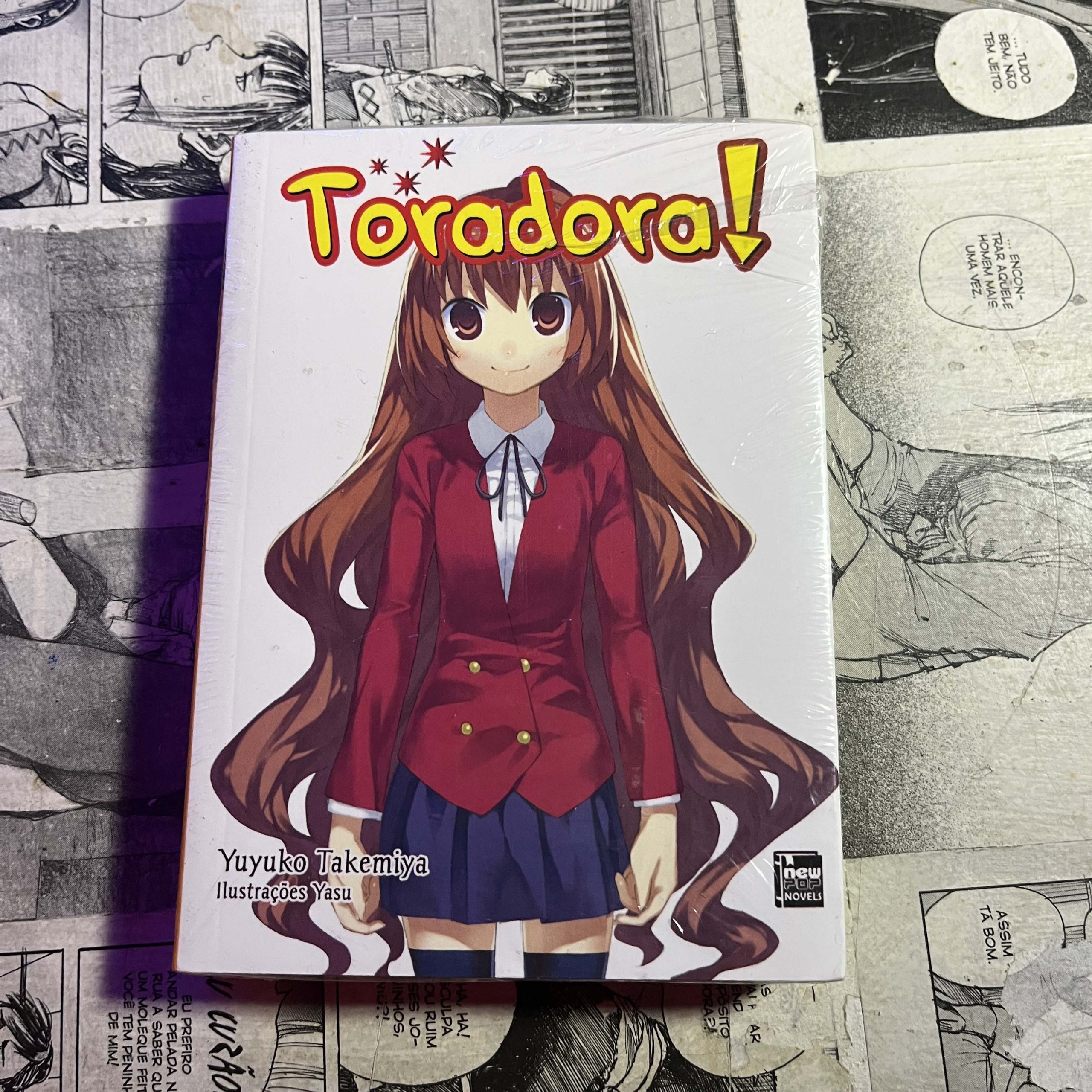 Toradora - novel - Vol.10 (Lote Festival de Avulsos #91)