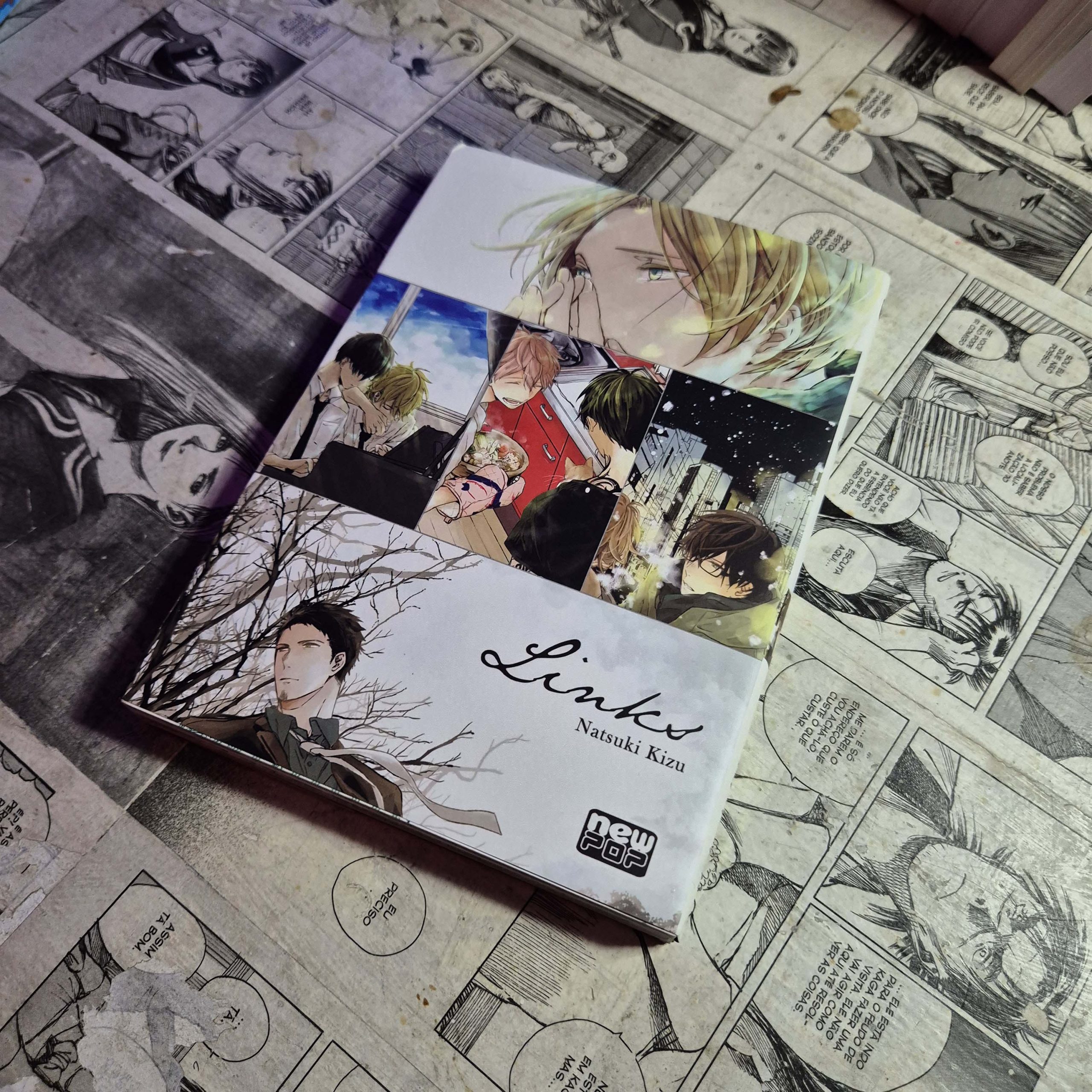 Links (Lote Festival de Avulsos #93)