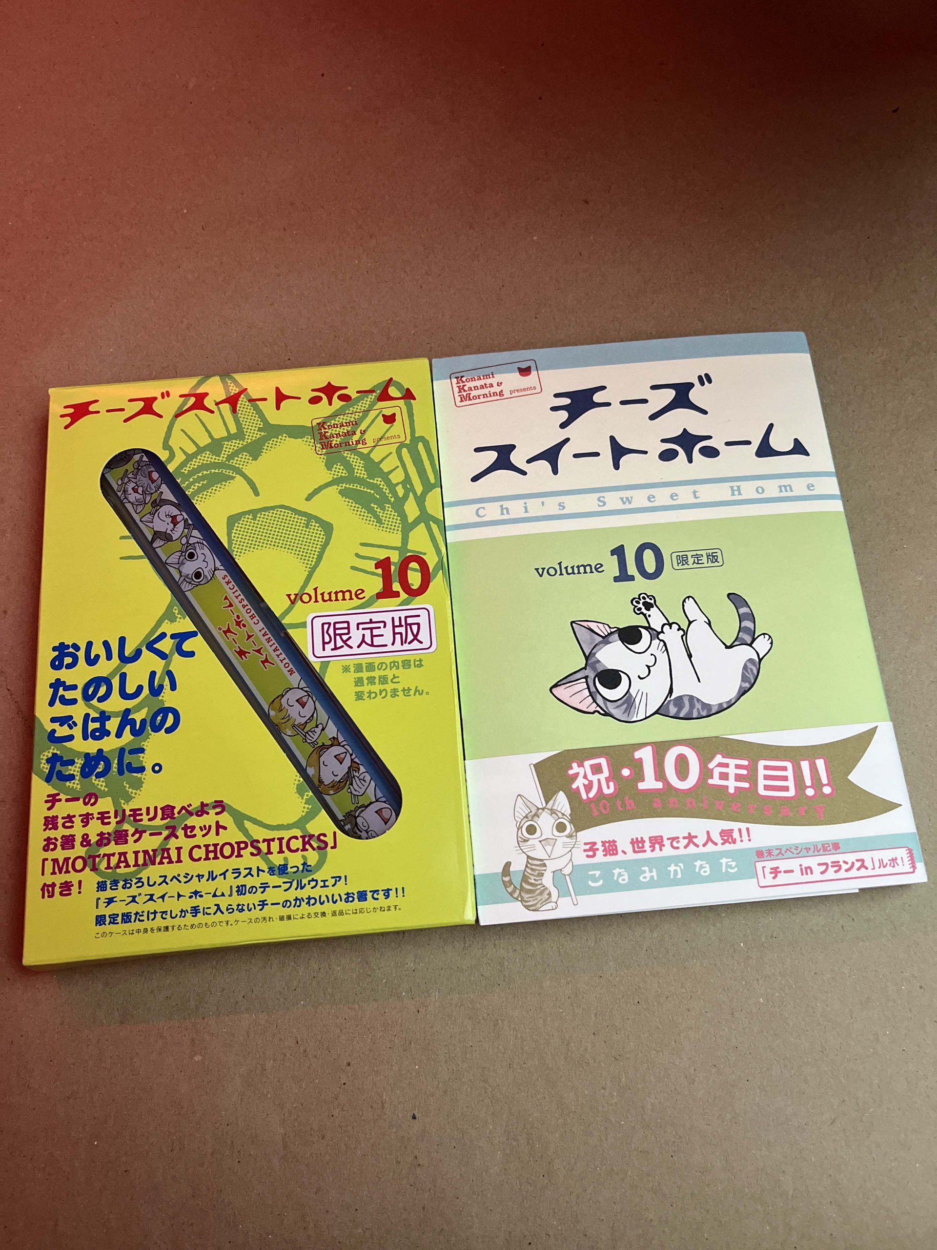 Chi's Sweet Home ESP - Vol.10 - JPN (Festival de Importados #16)