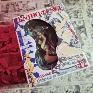 Tenjho Tenge – esp edition – Vol.12 – JPN (Festival de Importados #19)