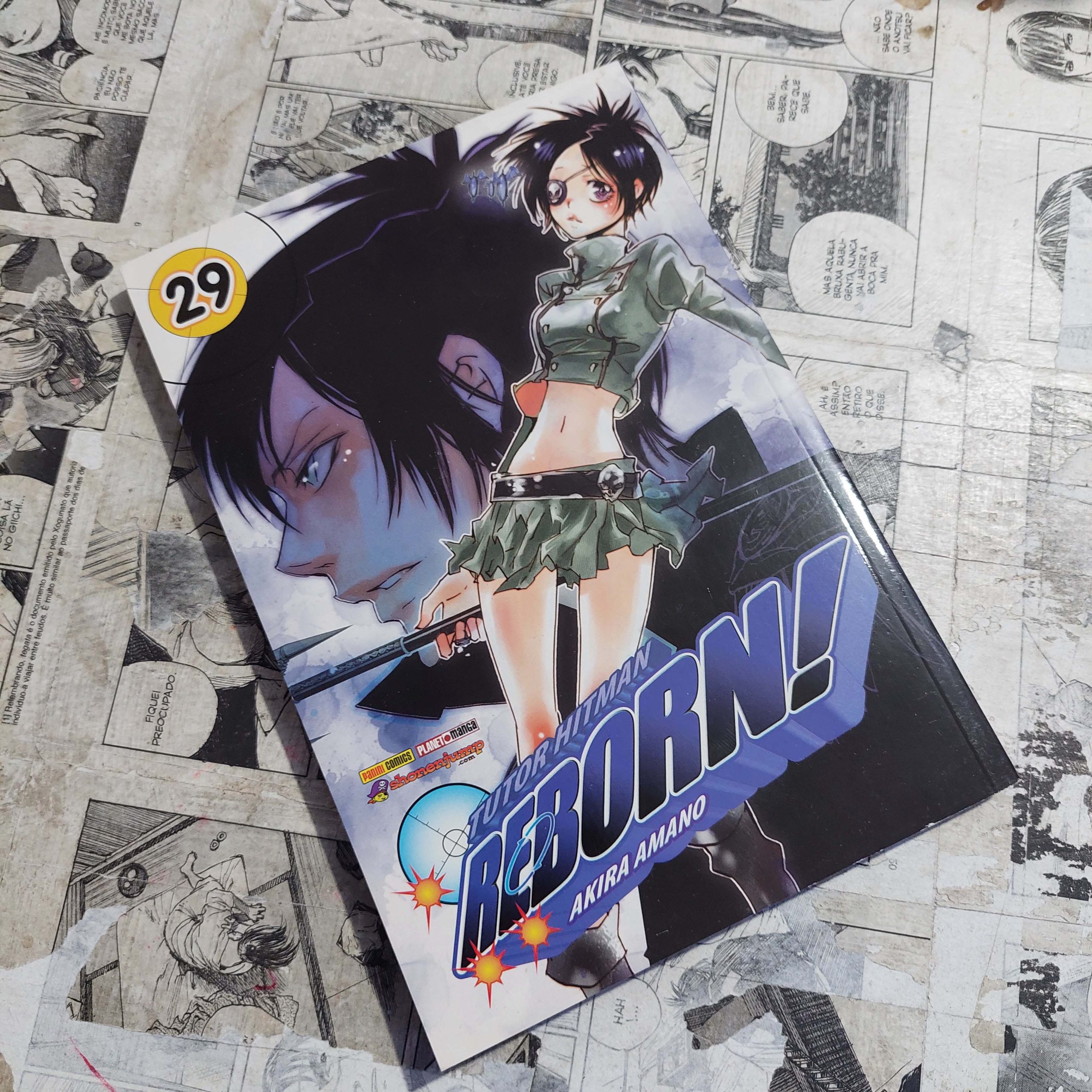 Tutor Hitman Reborn - Vol.29 (Festival de Avulsos #103)