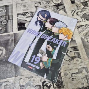 Wind Breaker – Vol.19 (Festival de Avulsos #105)