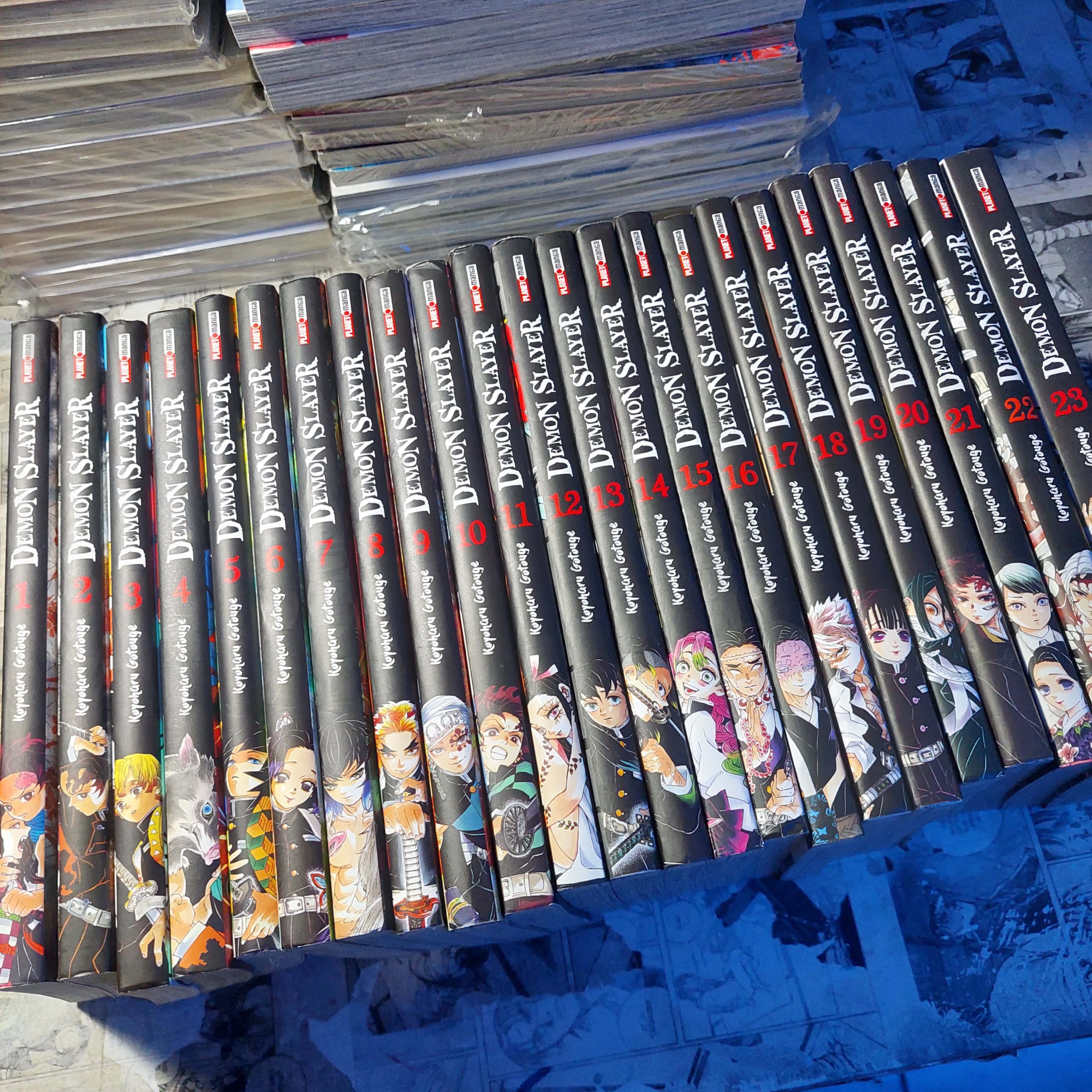 Demon Slayer - Completo (Lote #345)
