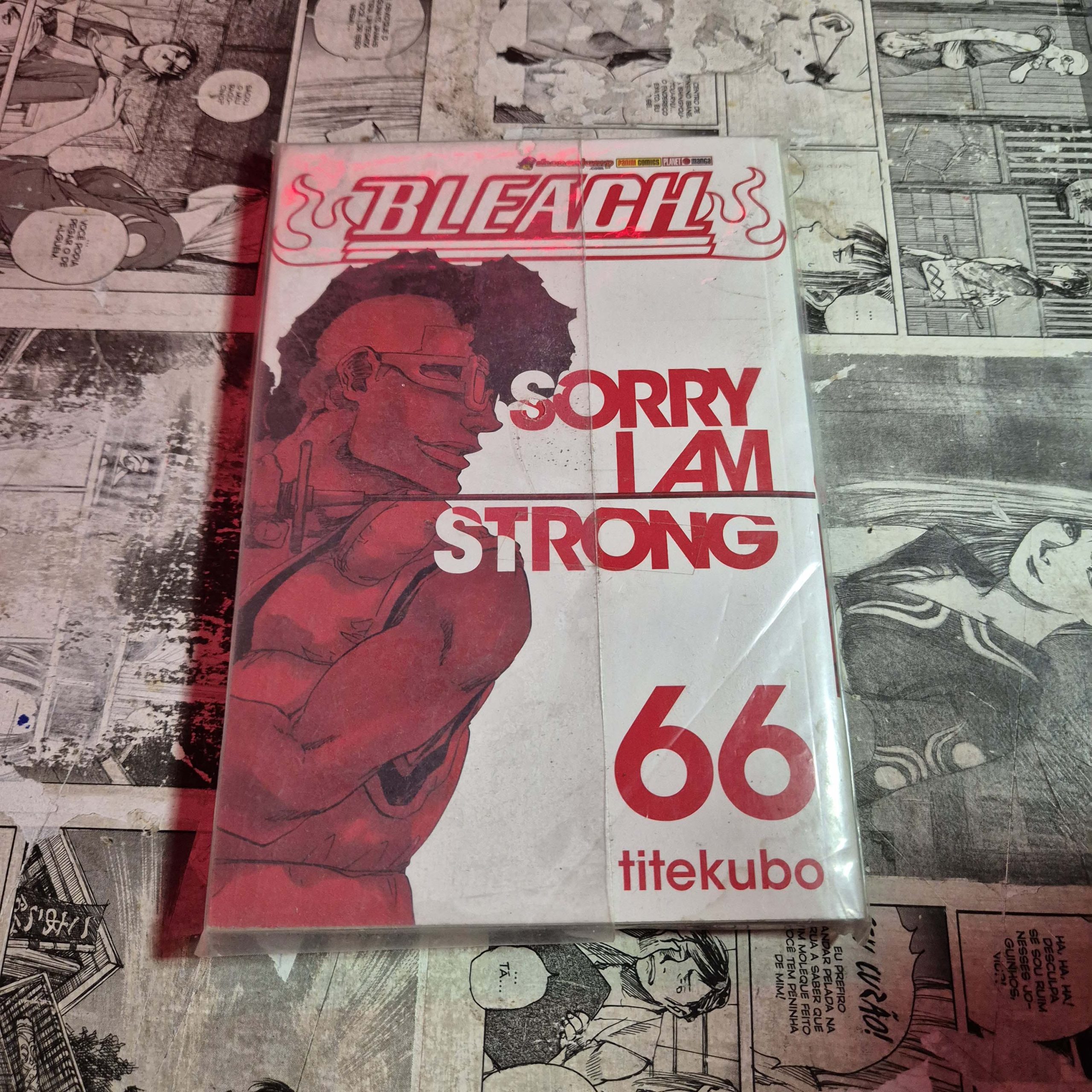 Bleach - Vol.66 (Festival de Avulsos #108)