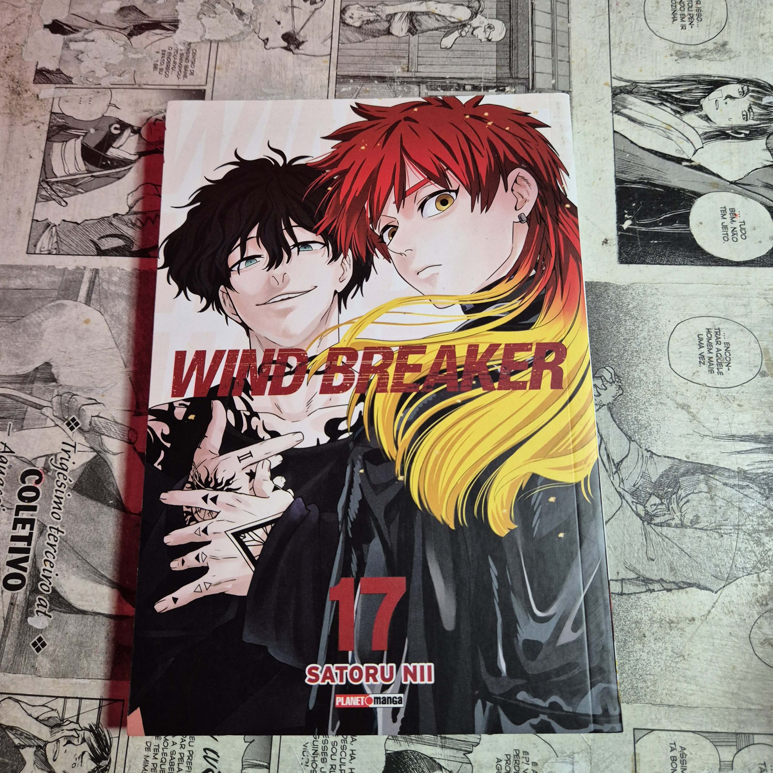 Wind Breaker - Vol.17 (Festival de Avulsos #108)