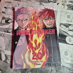 Wind Breaker – Vol.20 (Festival de Avulsos #108)