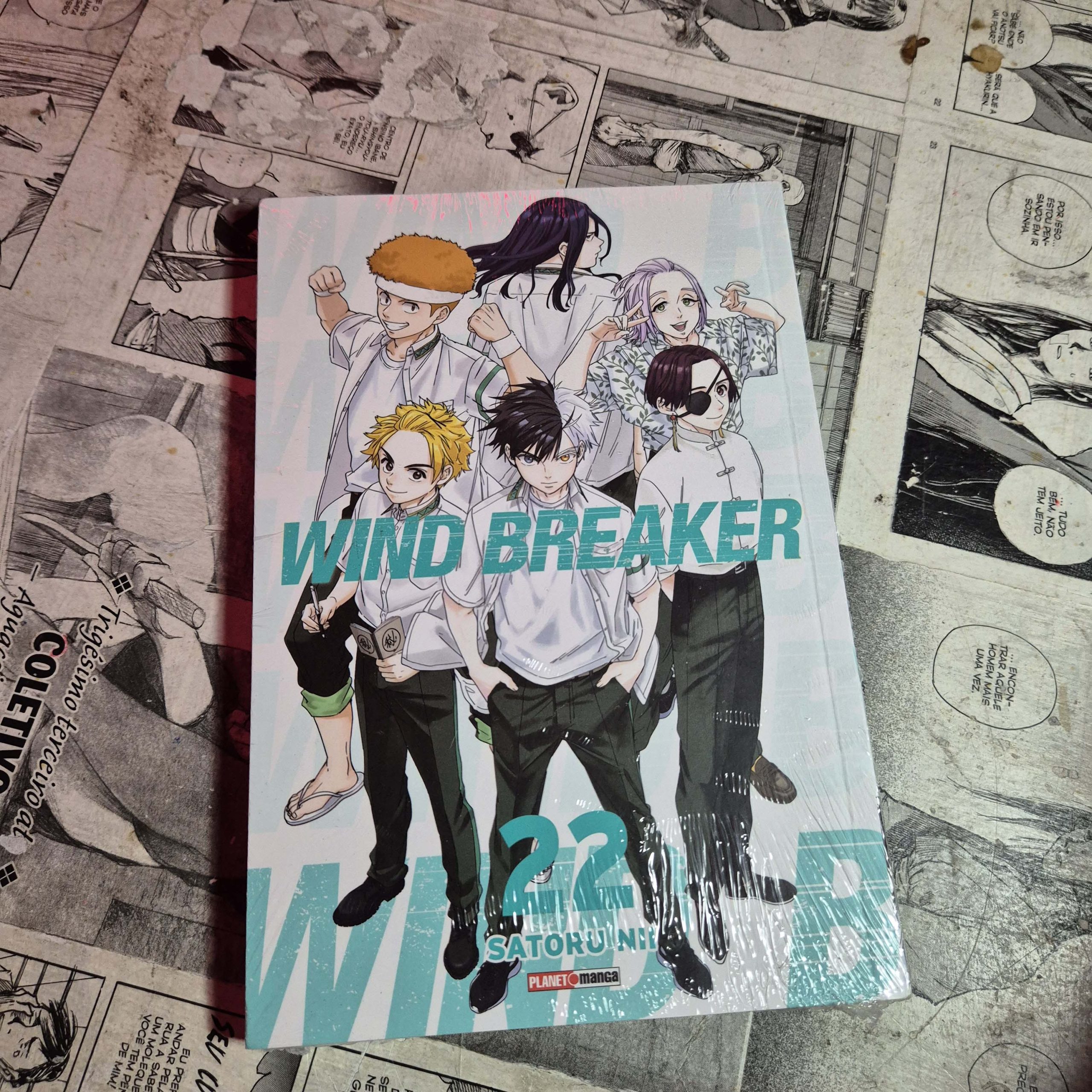 Wind Breaker - Vol.22 (Festival de Avulsos #108)