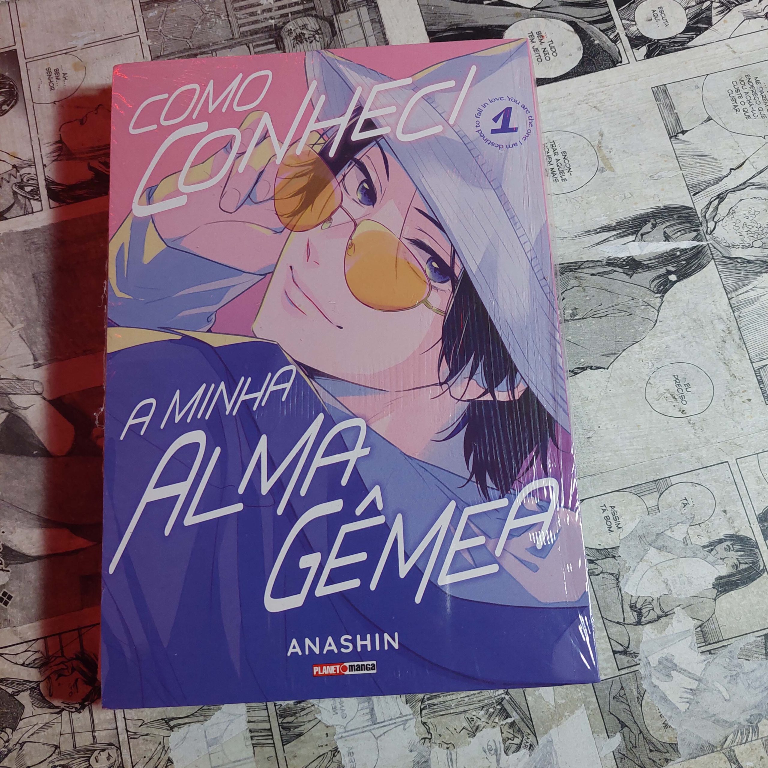 Como Conheci a minha Alma Gêmea - Vol.1 (Festival de Avulsos #114)