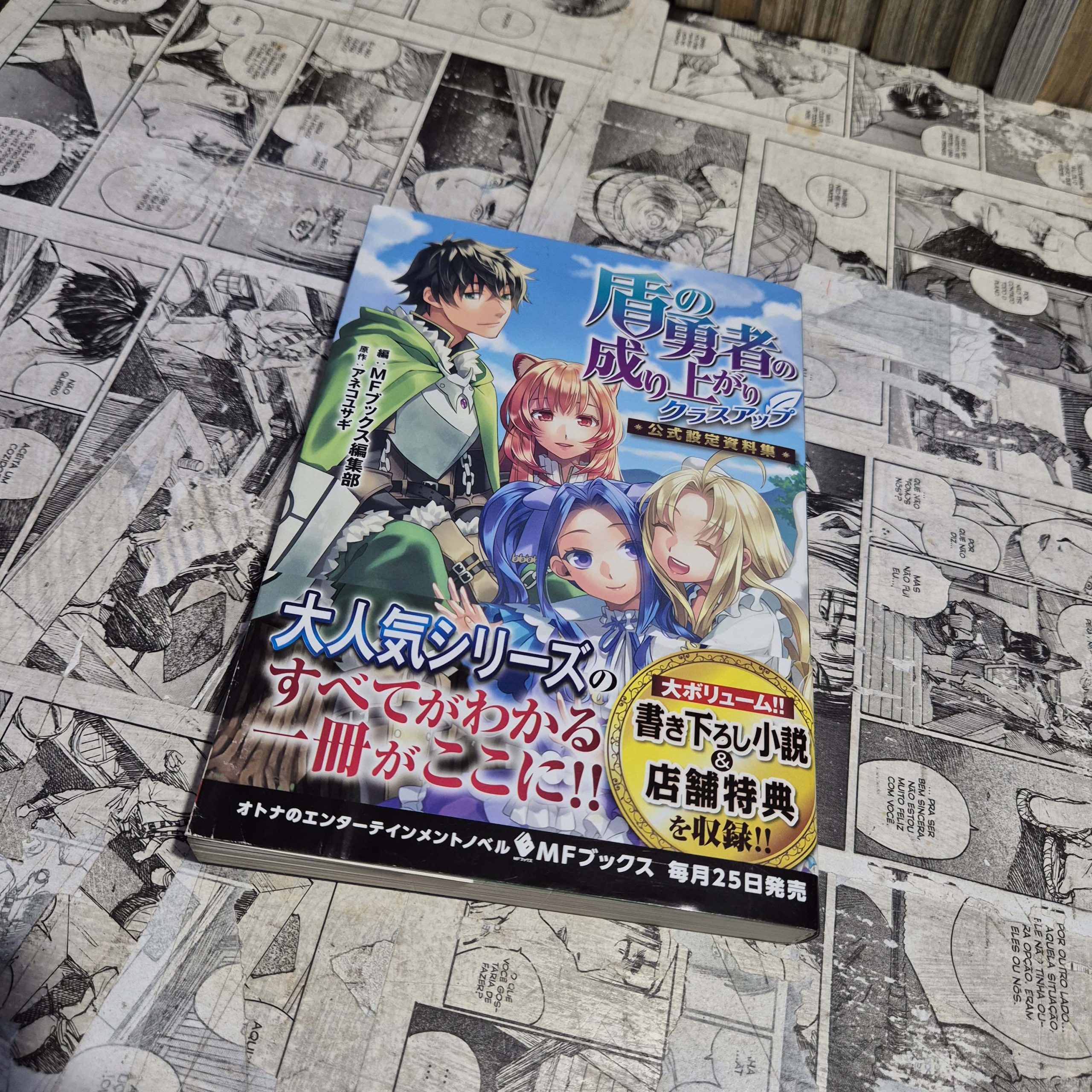 The Rising of the Shield databook em JPN (Festival de Importados #26)