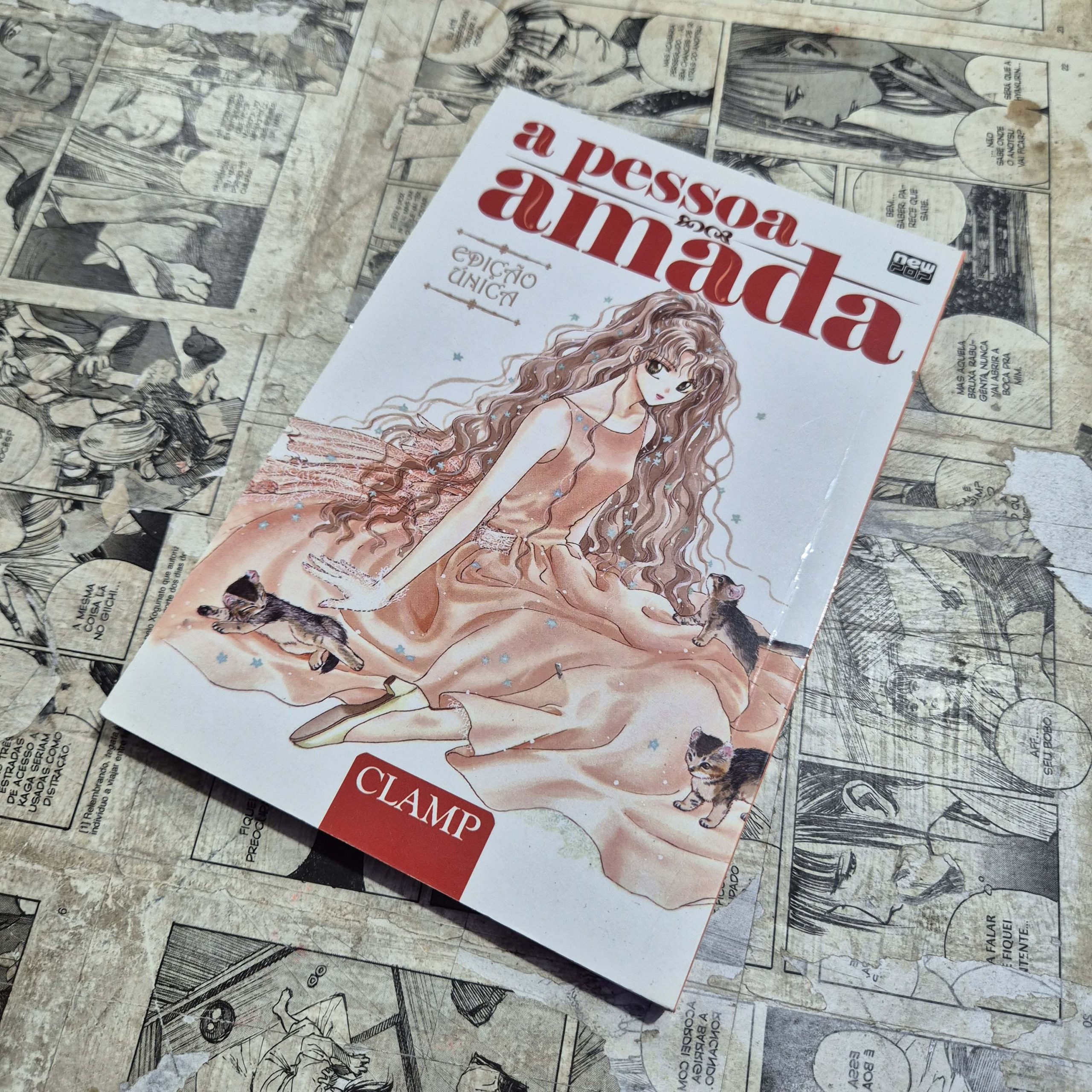 A Pessoa Amada (Festival de Avulsos #116)