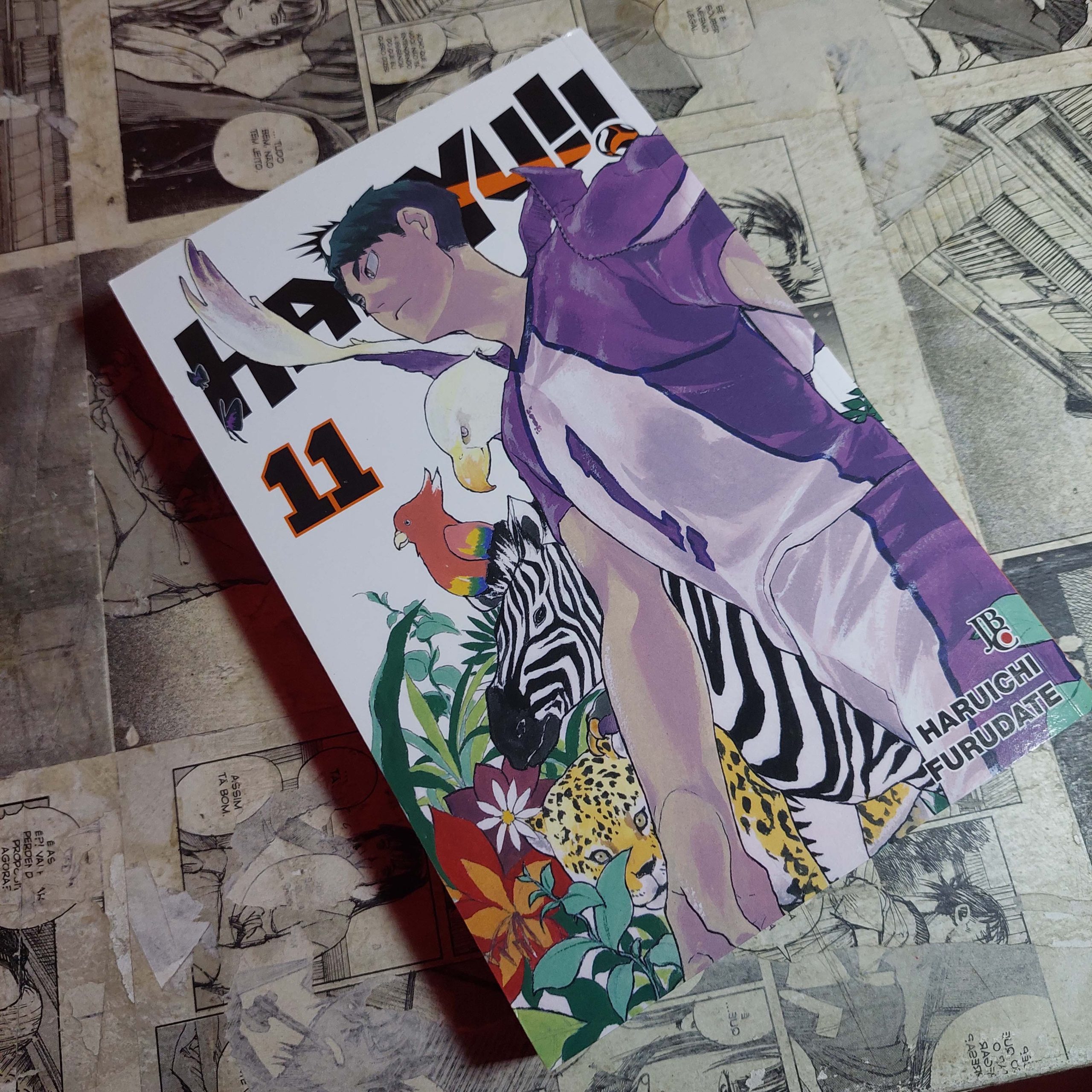 Haikyu!! - Vol.11 (Festival de Avulsos #118)