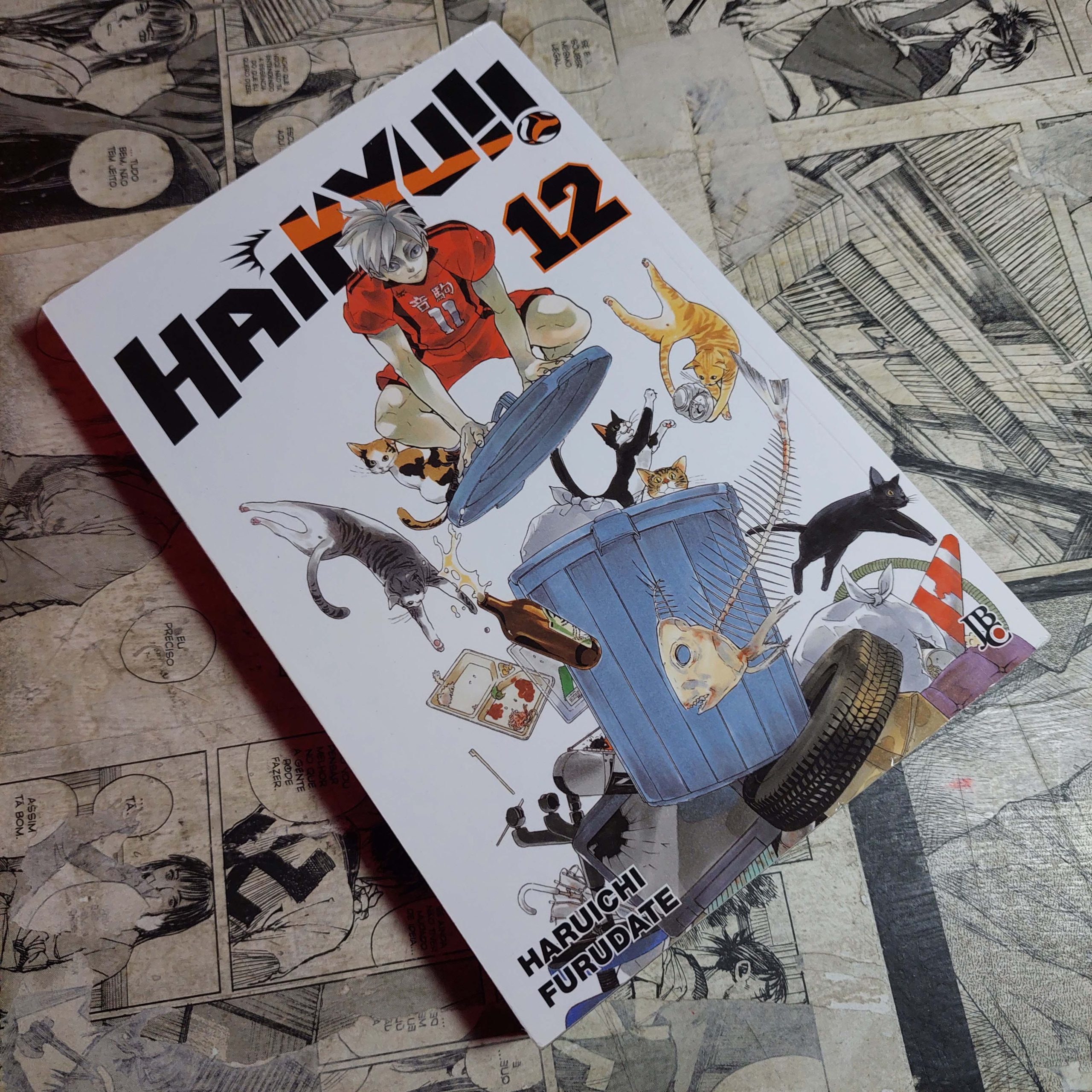 Haikyu!! - Vol.12 (Festival de Avulsos #118)