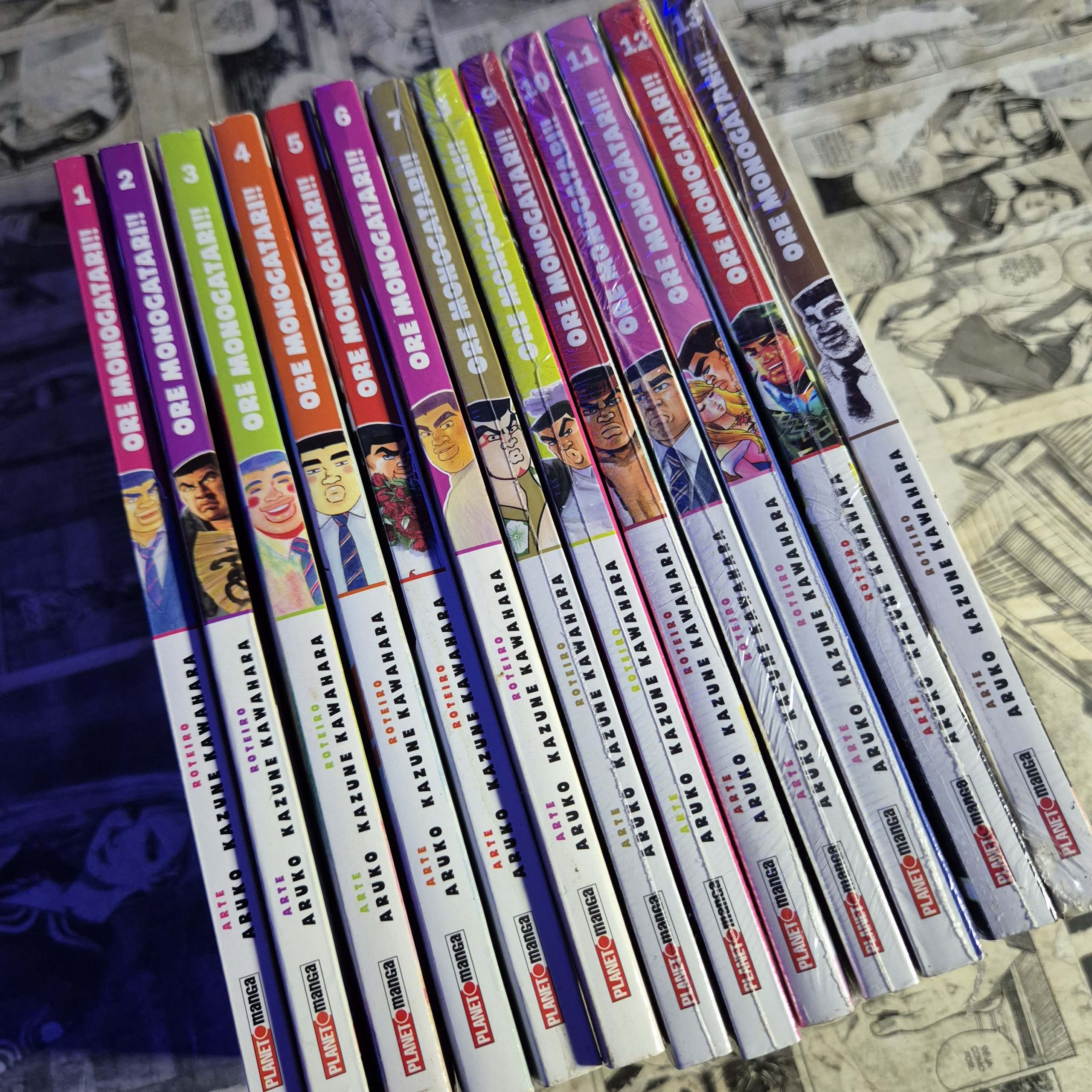 Ore Monogatari - Completo (Lote #355)