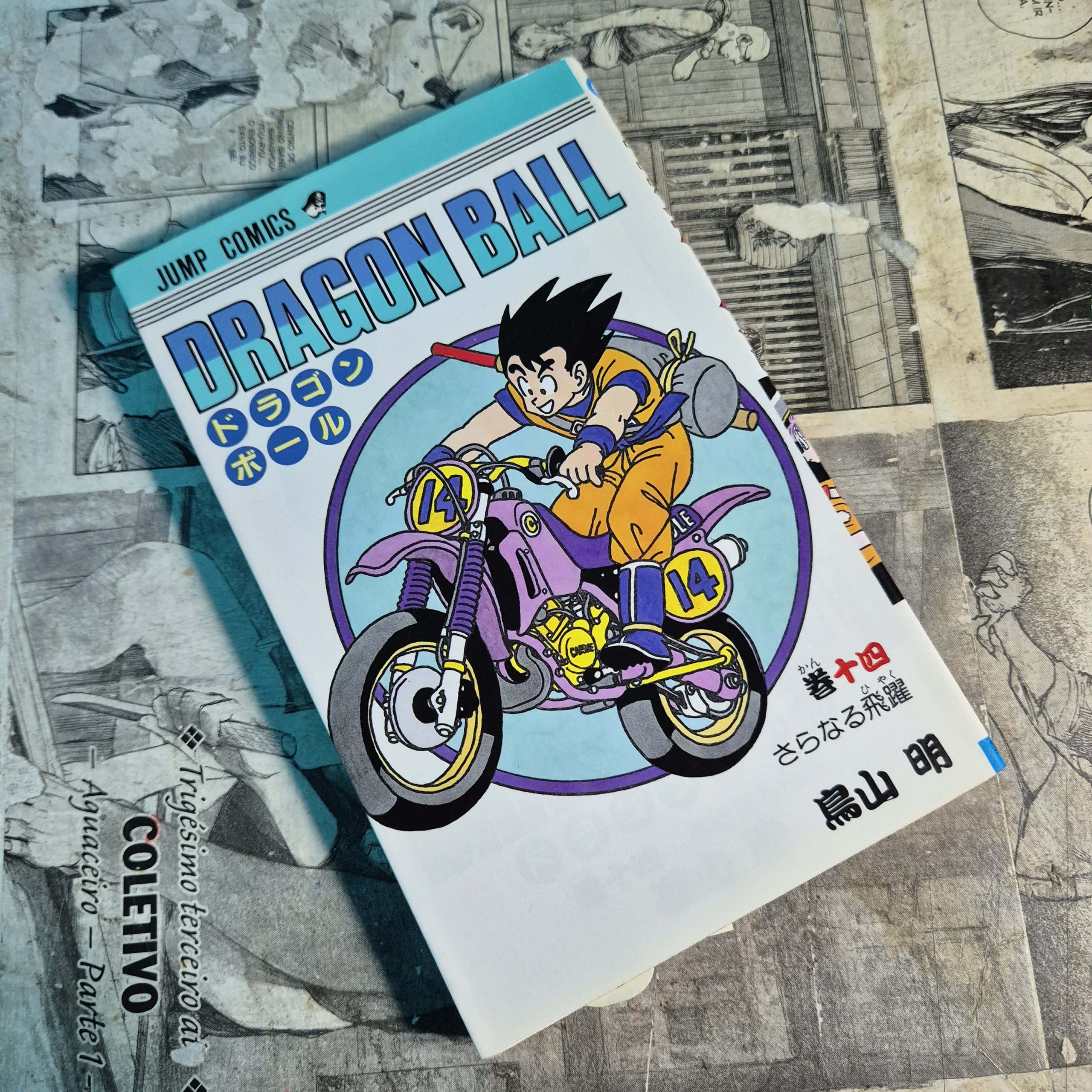 Dragon Ball em JPN - Vol.14 (Festival de Importados #28)