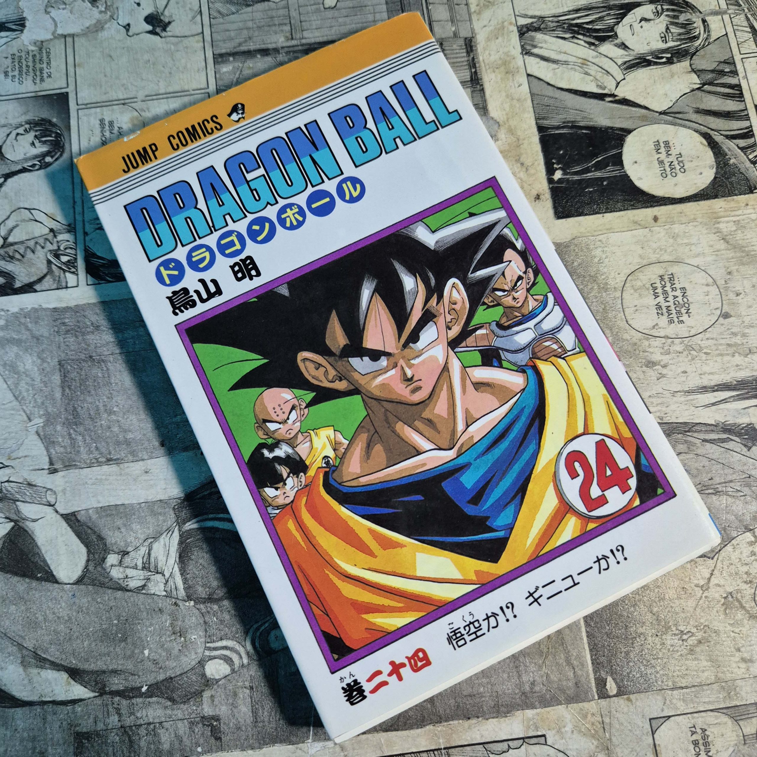 Dragon Ball em JPN - Vol.24 (Festival de Importados #28)