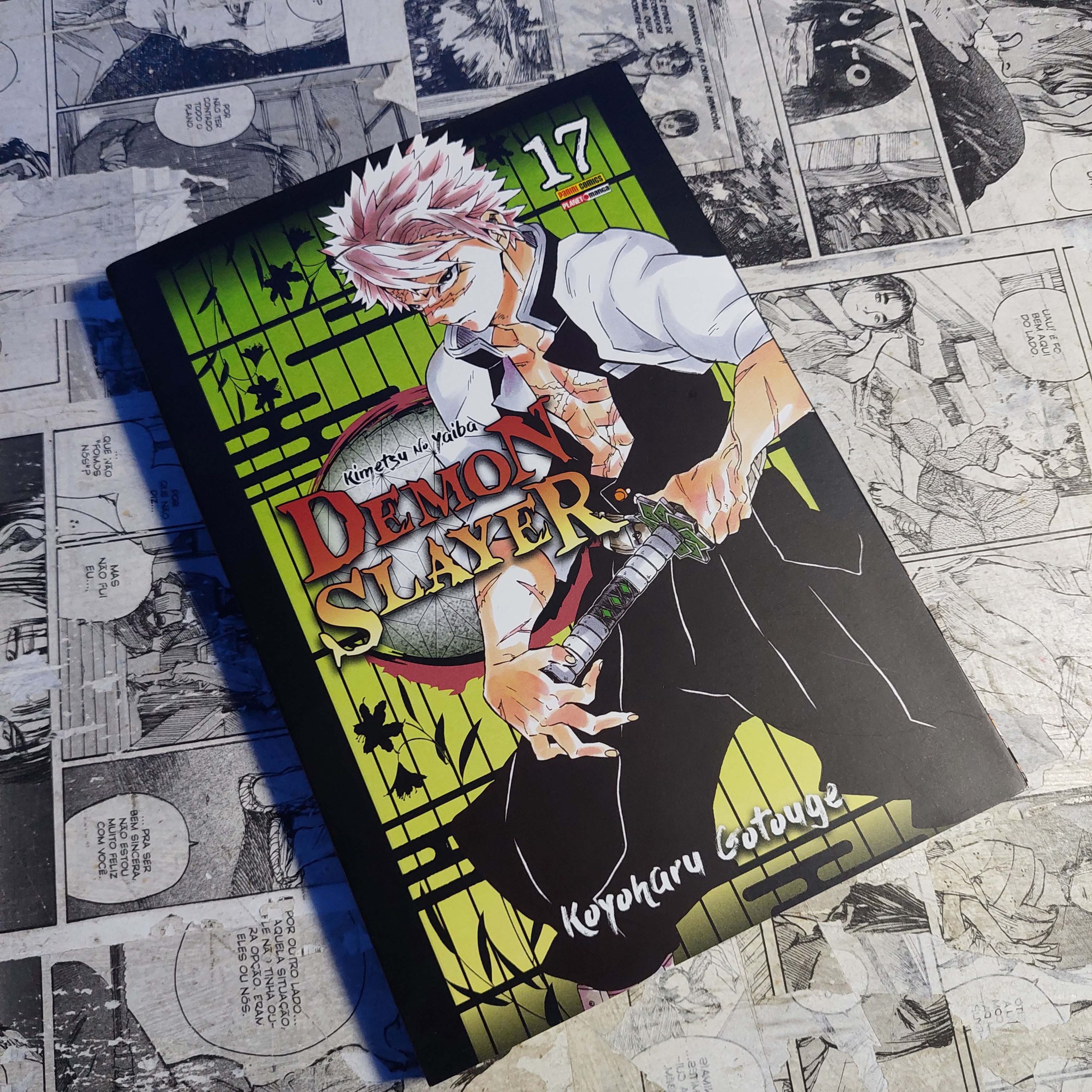 Demon Slayer - Vol.17 (Festival de Avulsos #122)