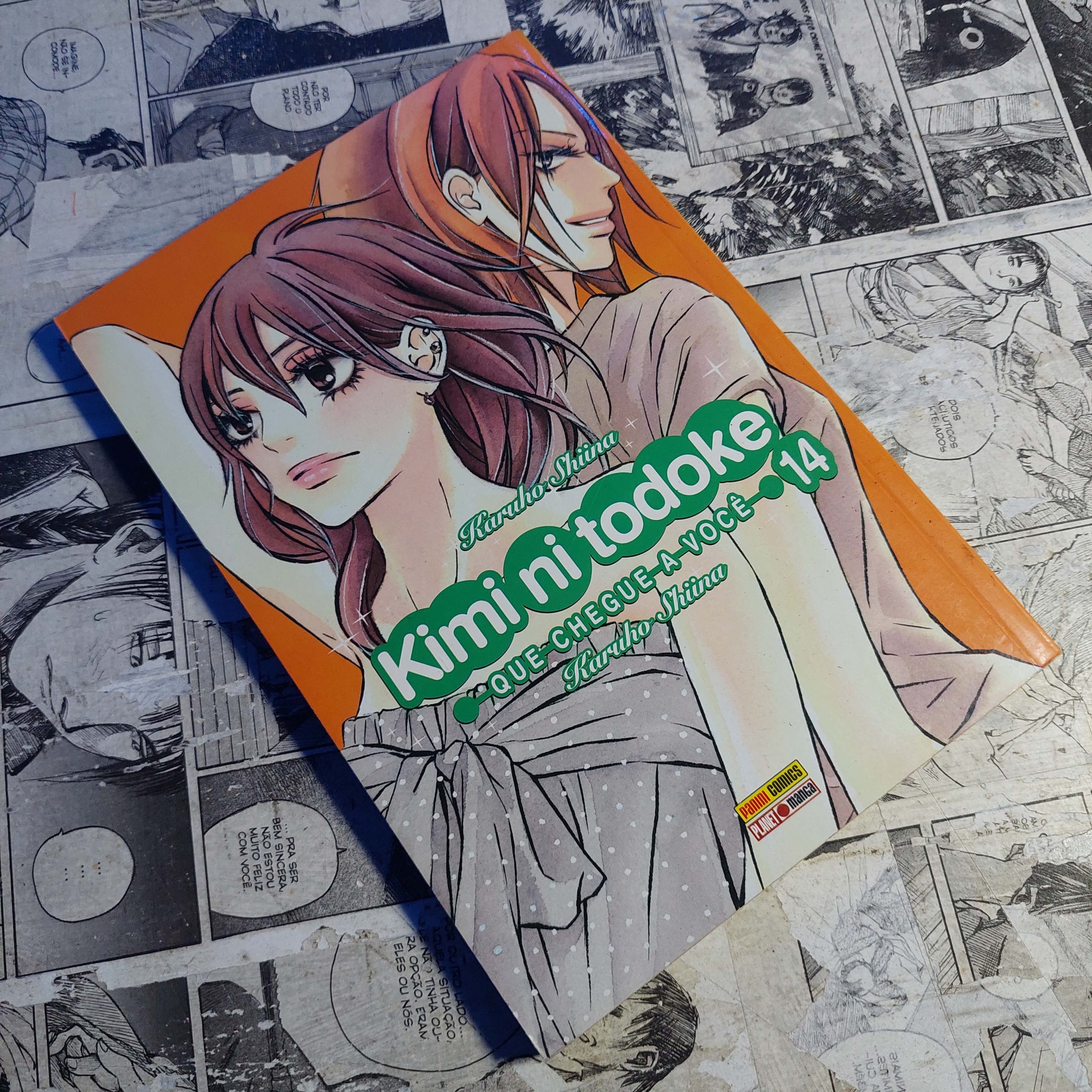 Kimi ni todoke - Vol.14 (Festival de Avulsos #122)