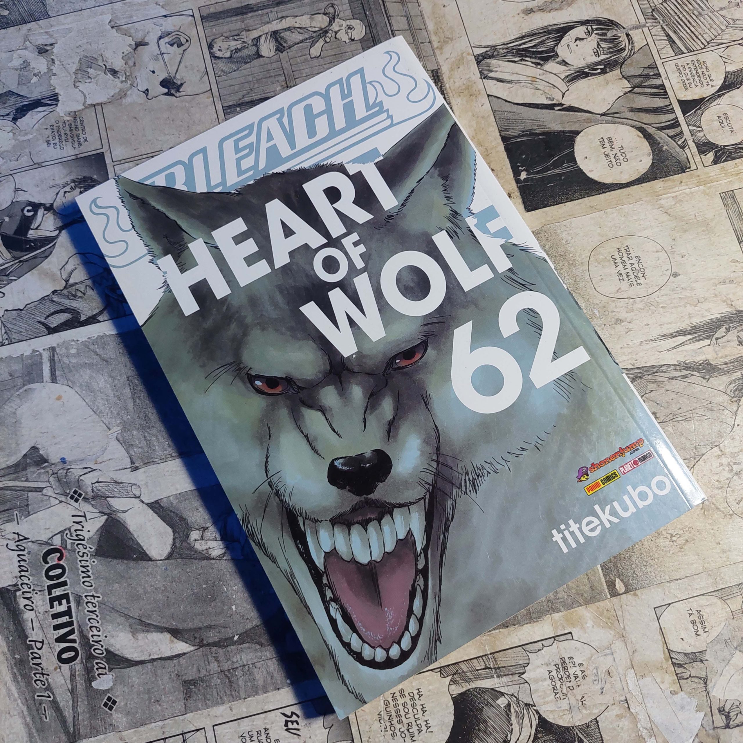 Bleach - Vol.62 (Festival de Avulsos #123)
