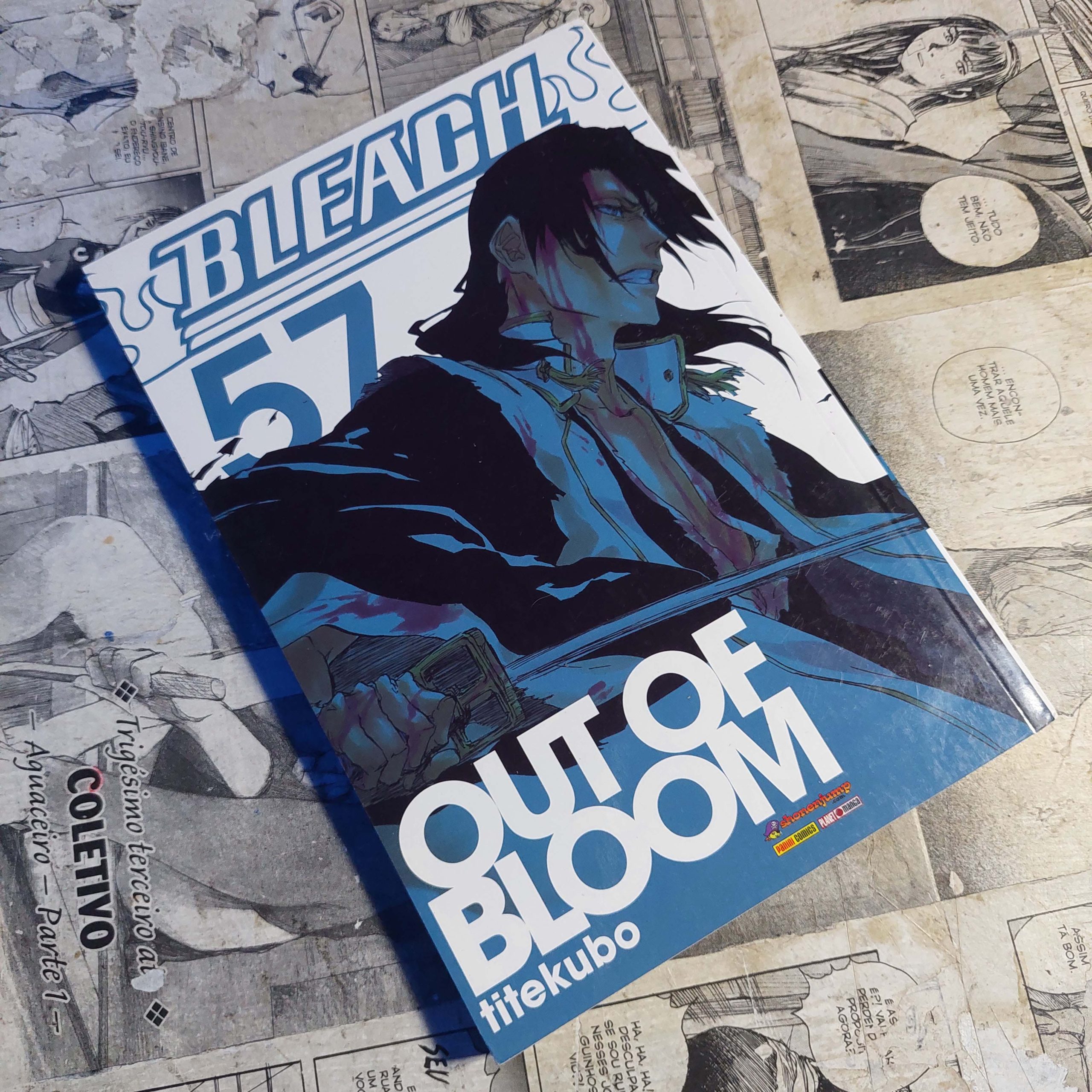 Bleach - Vol.57 (Festival de Avulsos #123)