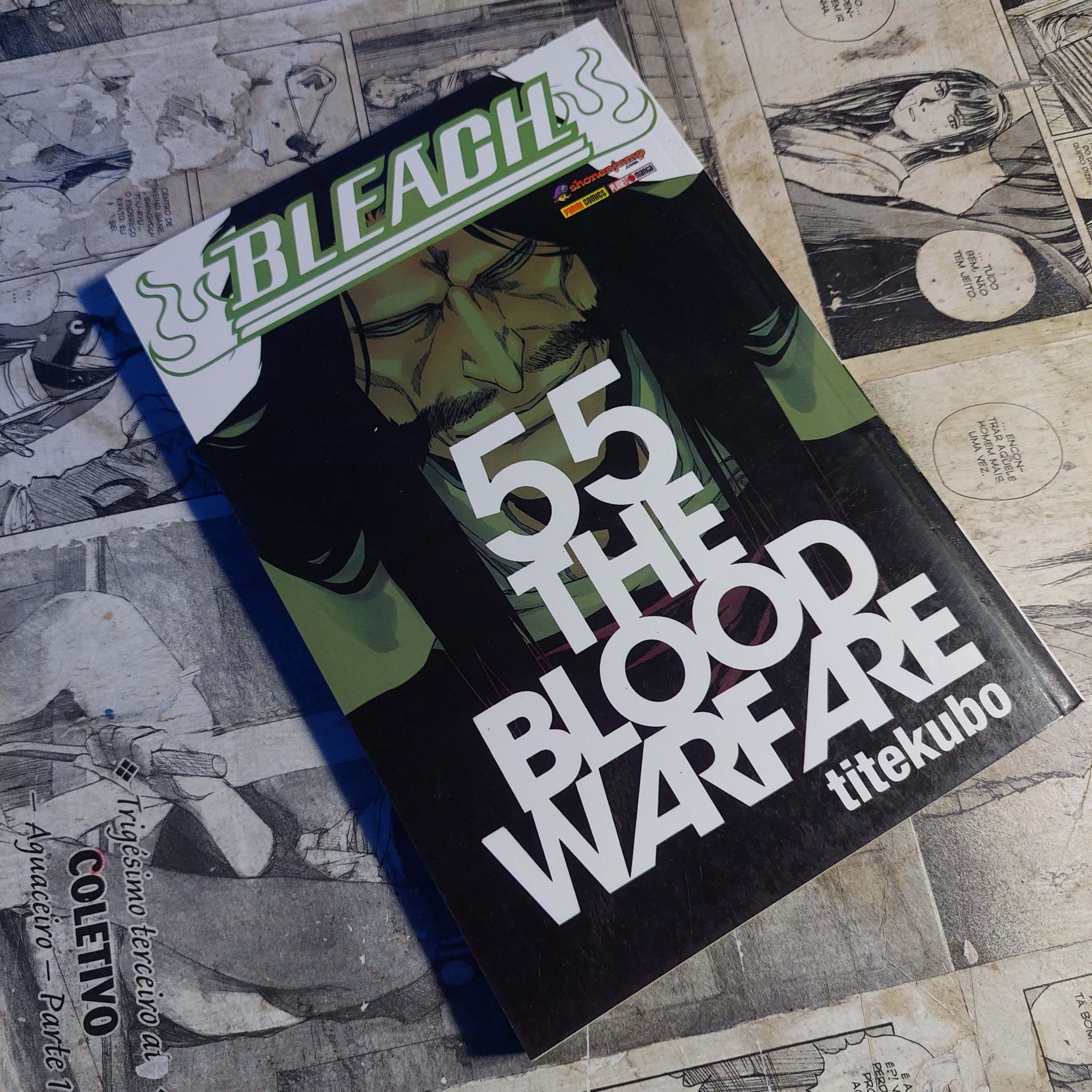 Bleach - Vol.55 (Festival de Avulsos #123)
